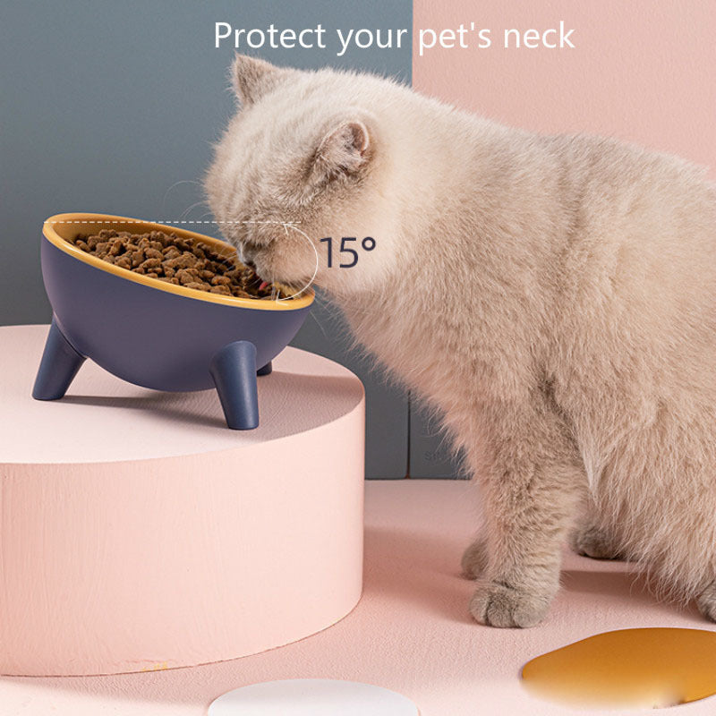 Elevated Cat & Dog Bowl β Stylish Nordic Pet Feeder with Stand