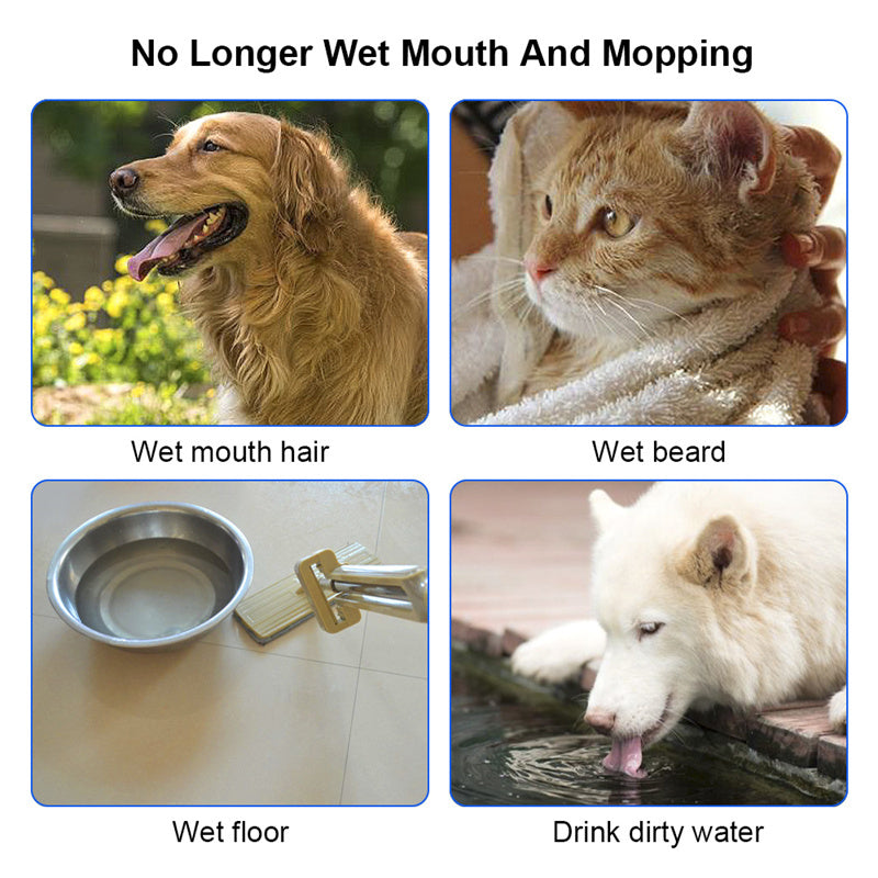Anti-Overflow Pet Water Bowl β Slow Water Feeder & Dispenser